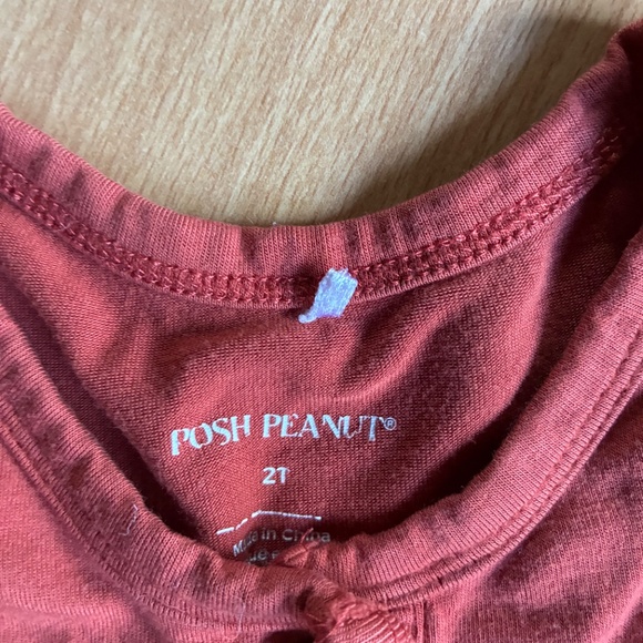 2T Posh Peanut outfit - Picture 3 of 5